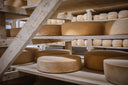 Gouda Orgánico