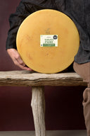 Parmesano Natural